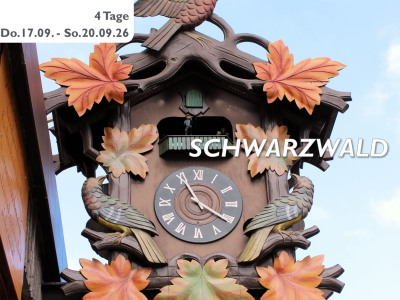 SCHWARZWALD