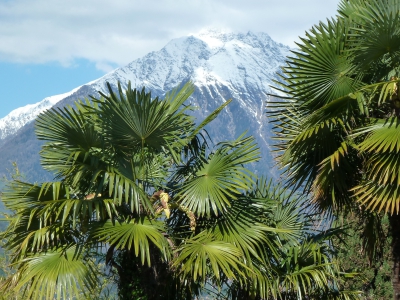 FRÜHLINGSERWACHEN IM MERANER LAND