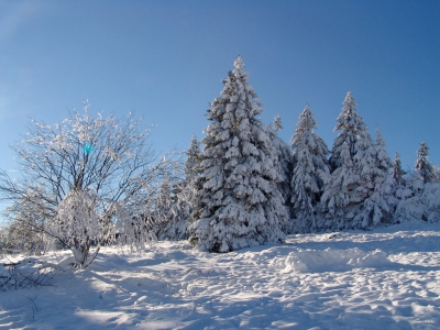 ADVENTSVERGNÜGEN IM HARZ