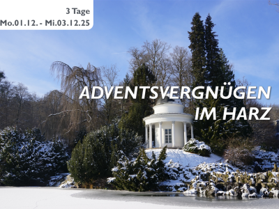 ADVENTSVERGNÜGEN IM HARZ