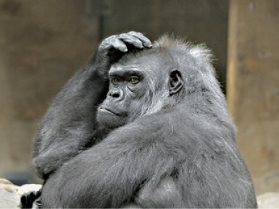 ZOOM ERLEBNISWELT Gelsenkirchen