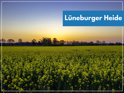 LÜNEBURGER HEIDE