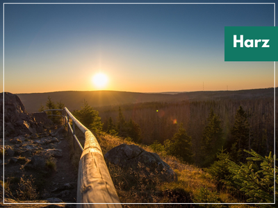 HARZ QUEERBEET