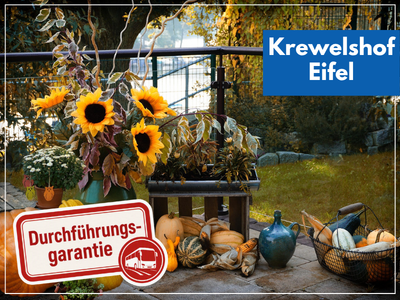 KÜRBISSCHAU AUF DEM KREWELSHOF EIFEL
