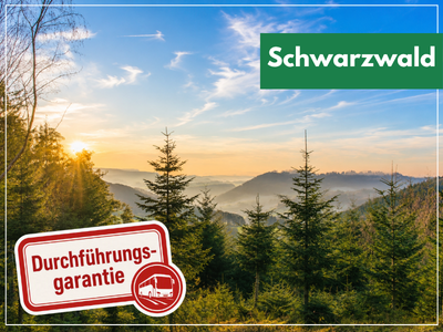 SCHWARZWALD ERLEBEN