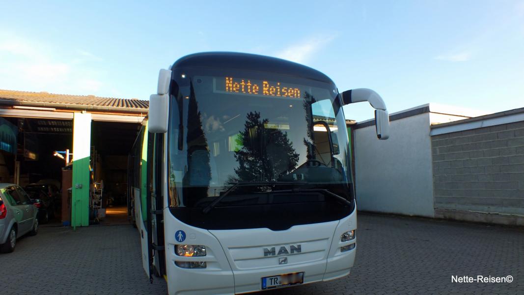 Unsere Standard-Reisbusse