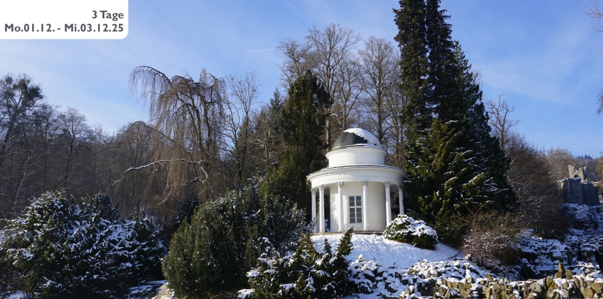 ADVENTSVERGNÜGEN IM HARZ