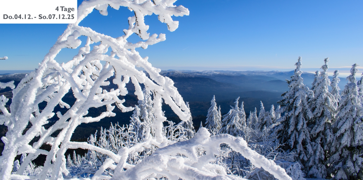 ADVENT IM BAYERISCHEN WALD