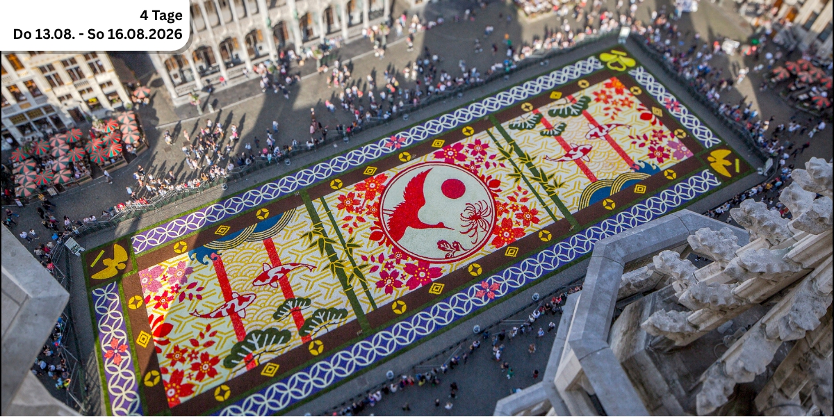 Blumenteppich in Brüssel